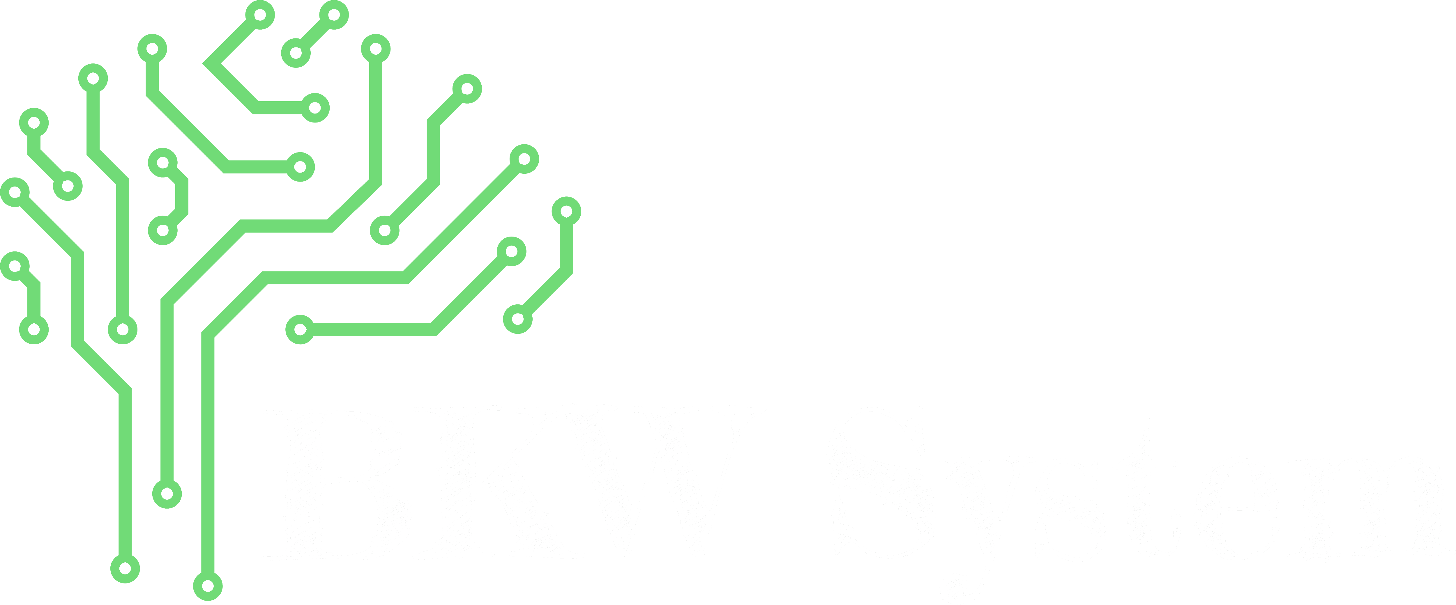 BKW System logo